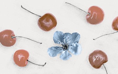 Обзор книги «Поздний расцвет, или как взрослым добиться успеха в мире, одержимом ранним развитием»